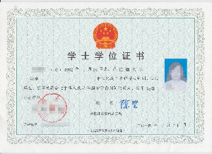 网络教育学位证样本